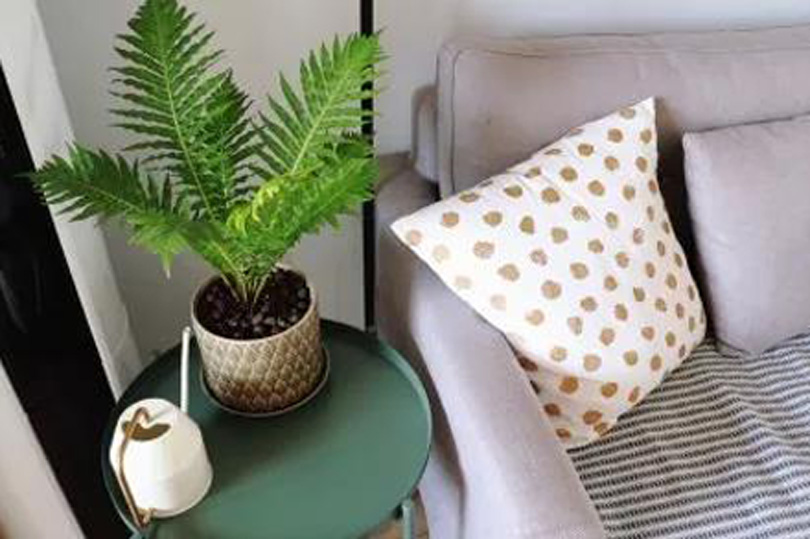 1573102738155129.jpg 1.jpg